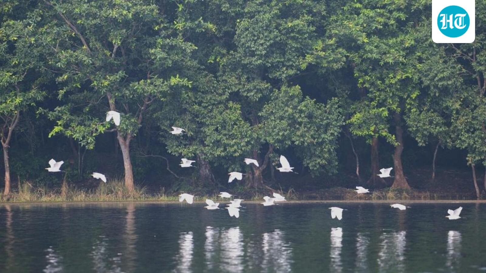 Two wetlands from Bihar get Ramsar tag