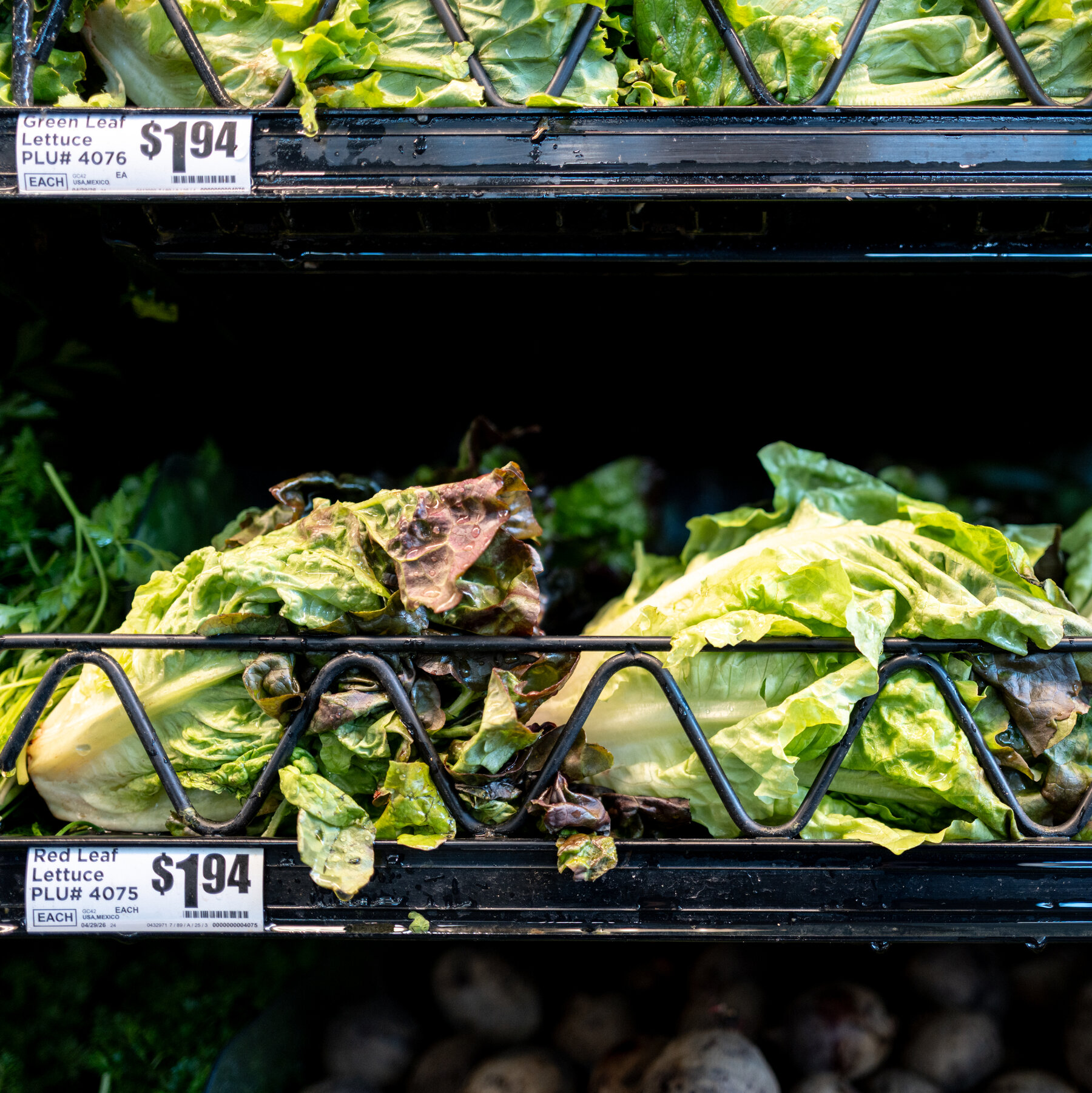 Health Officials in Michigan Identify ‘Potential Source’ of Cyclospora Outbreak