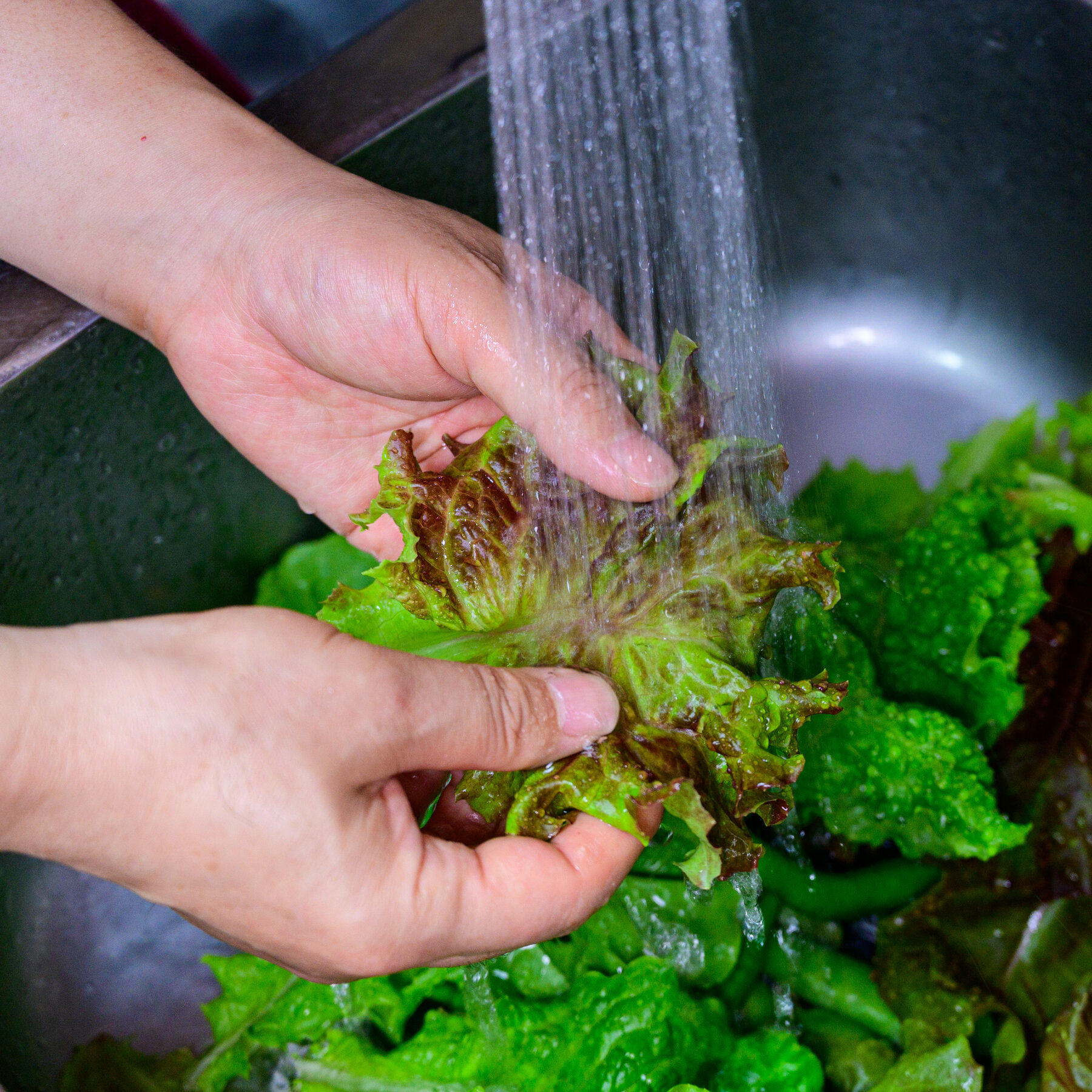 Cyclospora Cases Rise Rapidly, With No Source Yet Confirmed