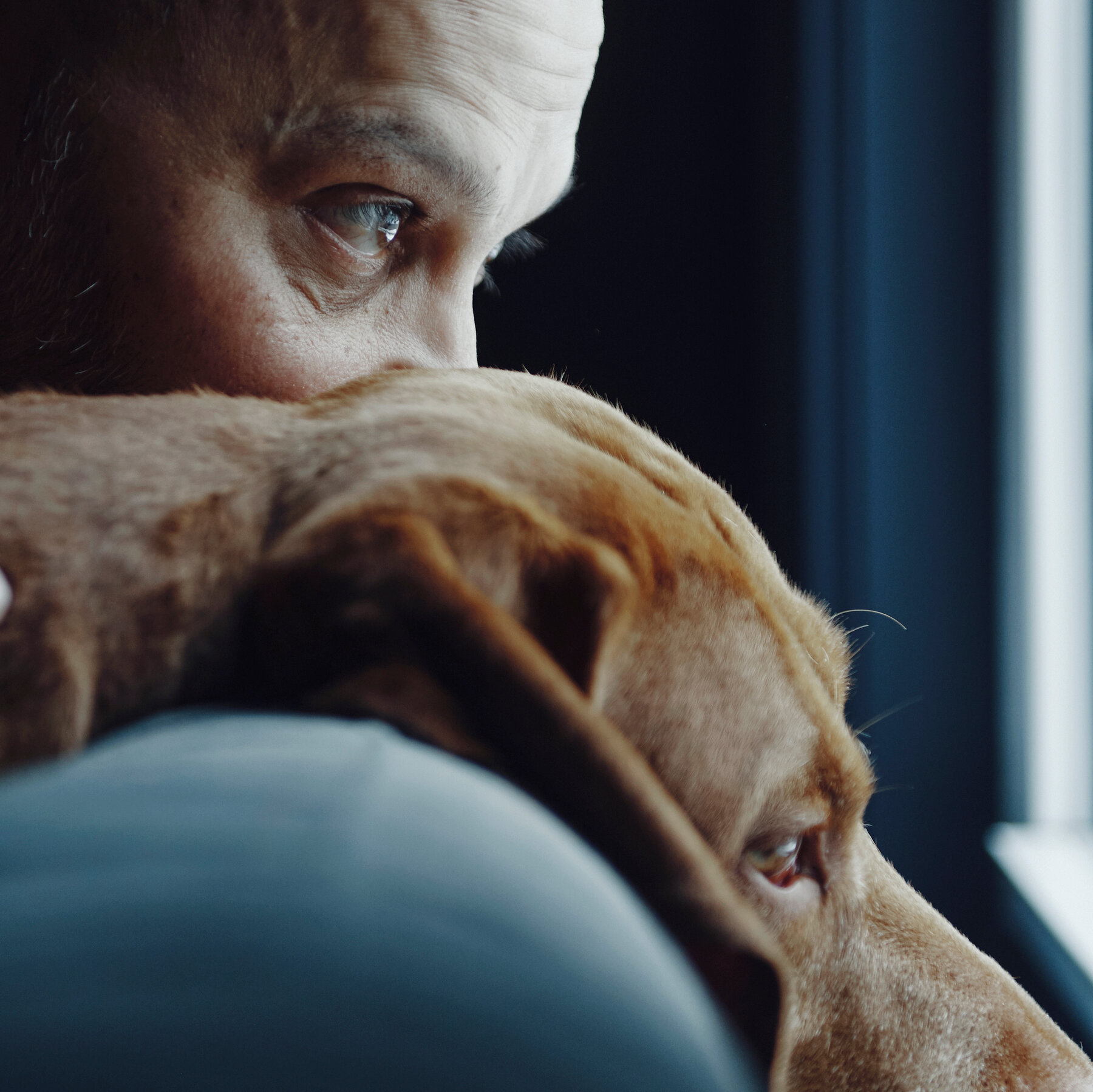 Can Owning a Pet Help You Live Longer?
