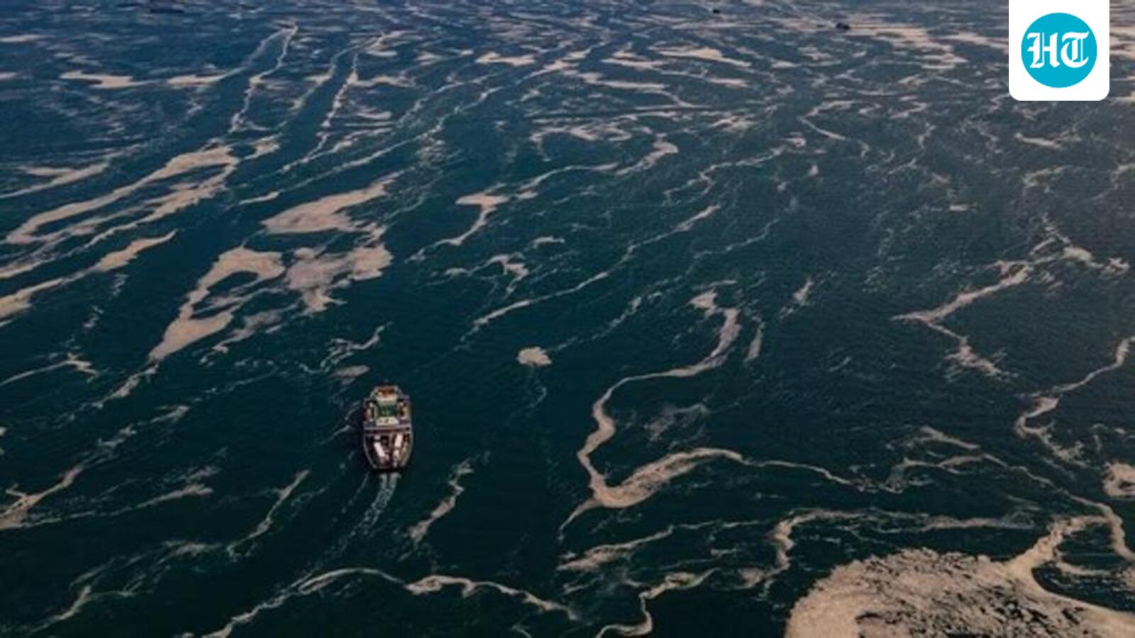 New study links rising sea surface temperatures to humid heatwaves over land