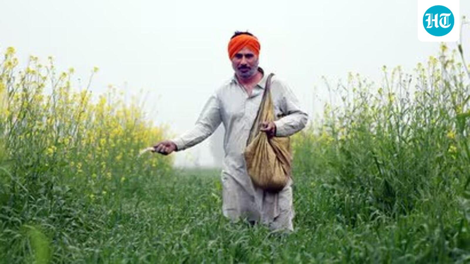 Scientifically Speaking: The gene in rice that could cut use of fertilizers