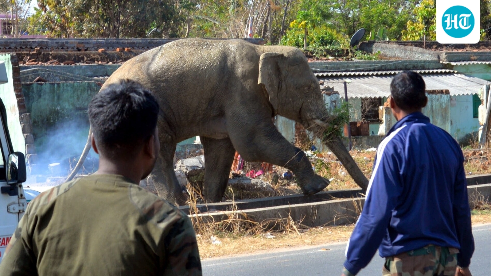 Coffee grower trampled to death in elephant attack in Karnataka's Madikeri