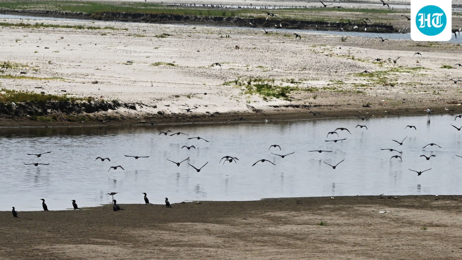 Why Delhi's water crisis keeps returning to the same chokepoint