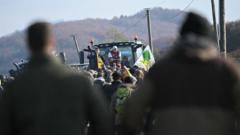 Farmers call for French blockades over cow disease cull