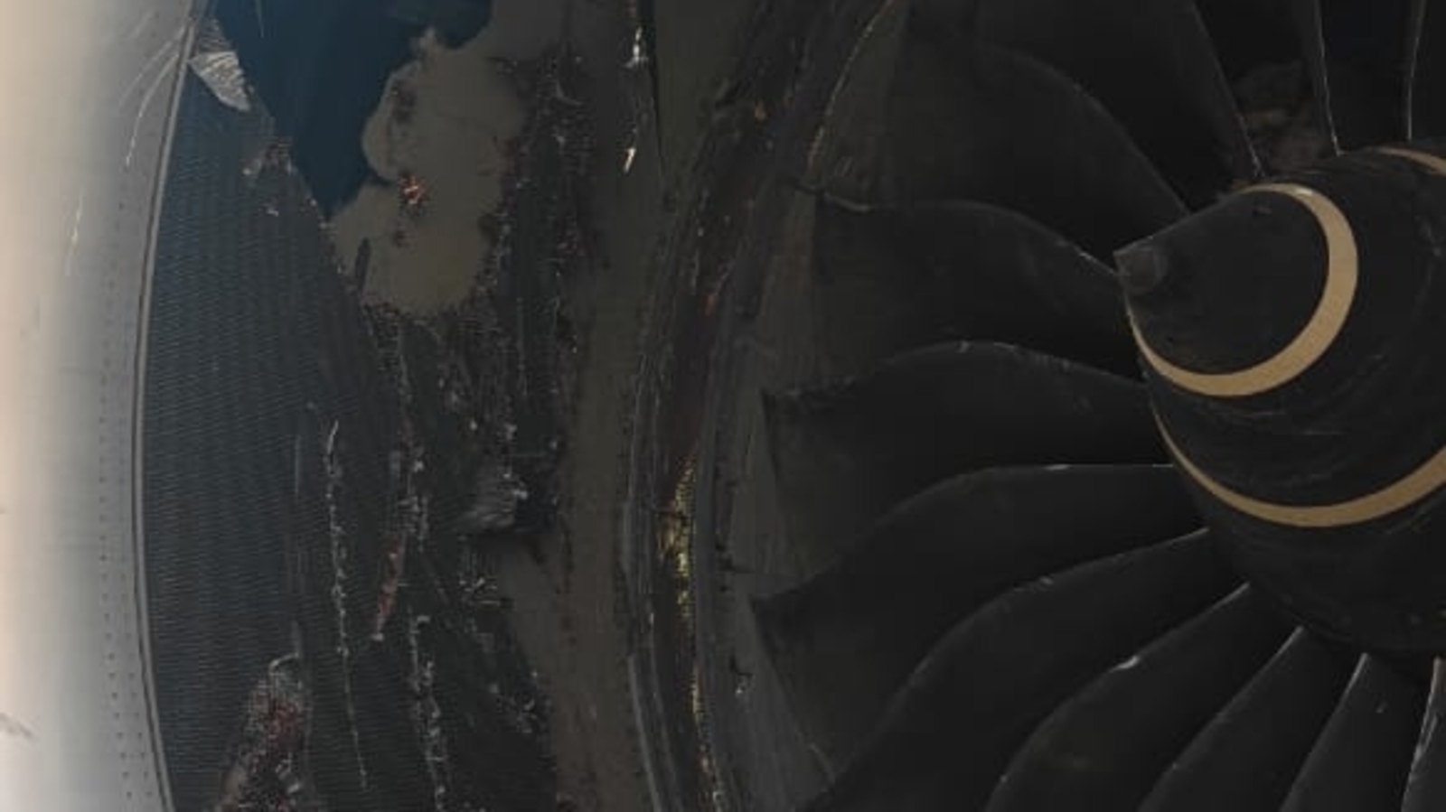 Air India plane's engine damaged after container gets stuck in it at Delhi Airport