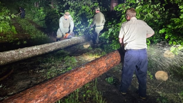 Rescuers use chainsaws, canoe to reach badly hurt boy in Ontario park
