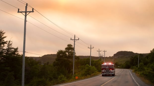 'We mean business': N.L. hikes fees and prison time for violating provincewide fire ban