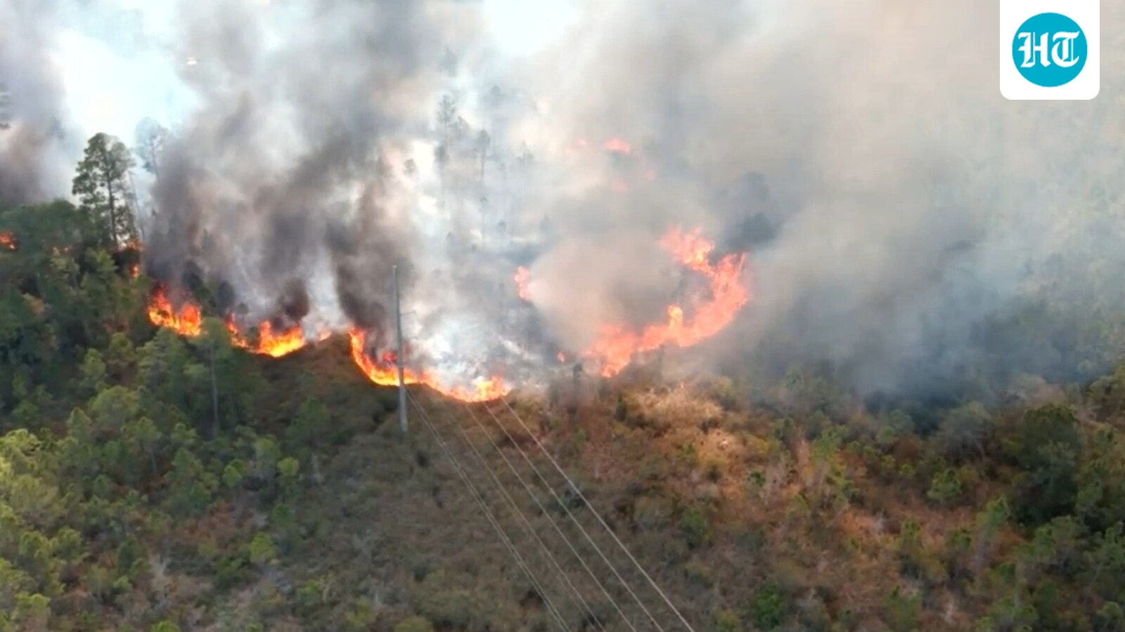 Gulf Shores State Park fire: Fire Department on scene; scary photos of brush fire emerge from Alabama city