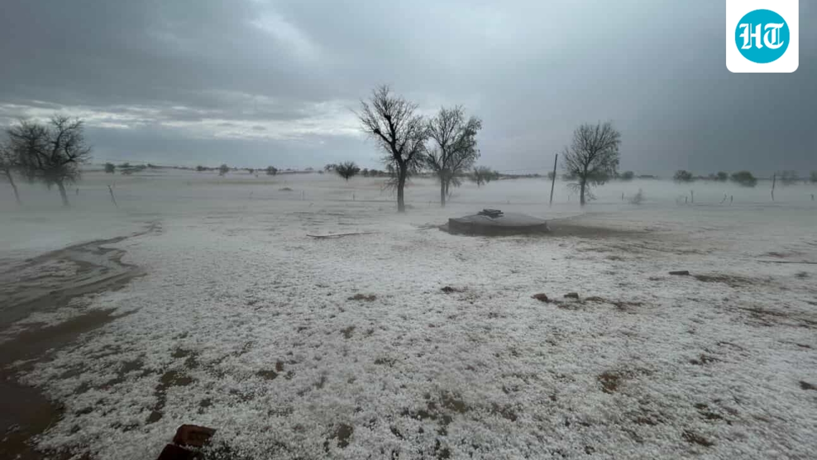 ‘Not Kashmir’: Rajasthan's Bikaner turns white after intense hailstorm | Watch
