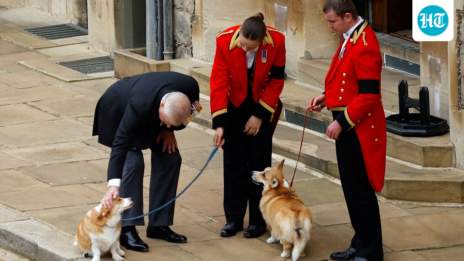 Corgi custody battle? King Charles 'preparing to seize' Queen Elizabeth's beloved dogs from Andrew