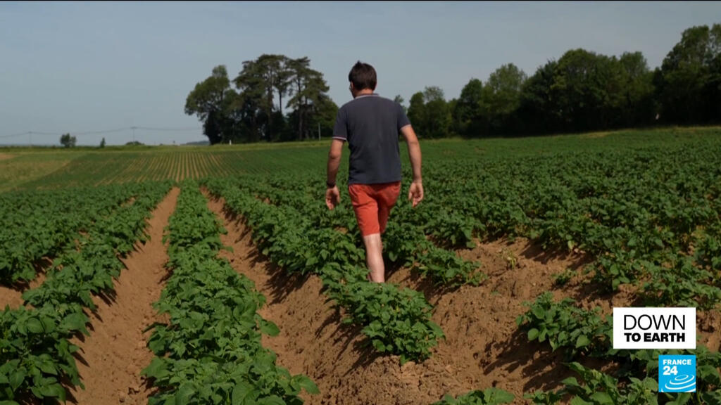 French co-op on a mission to prove organic farming can feed the world