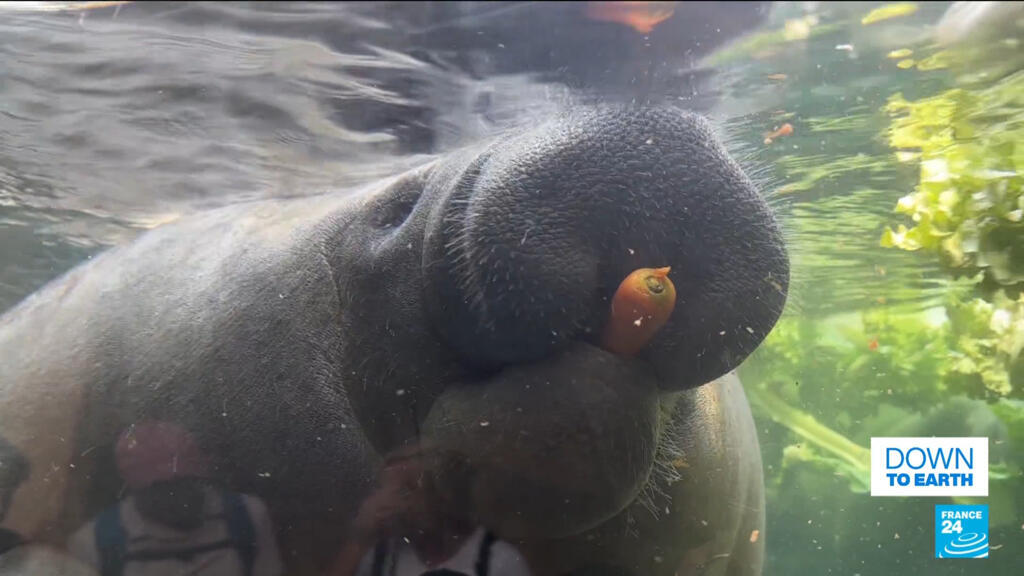 Eggs, zoos and tech at the heart of France's food waste revolution