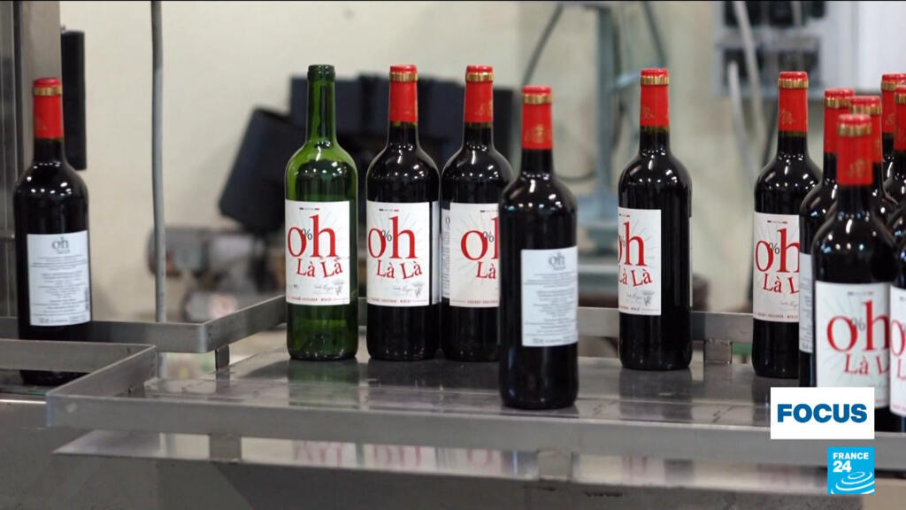 Winemakers of France's Bordeaux region forced to adapt to survive