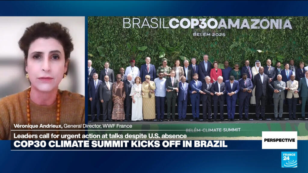 COP30 climate summit: 'We expect action and implementation,' head of WWF France says