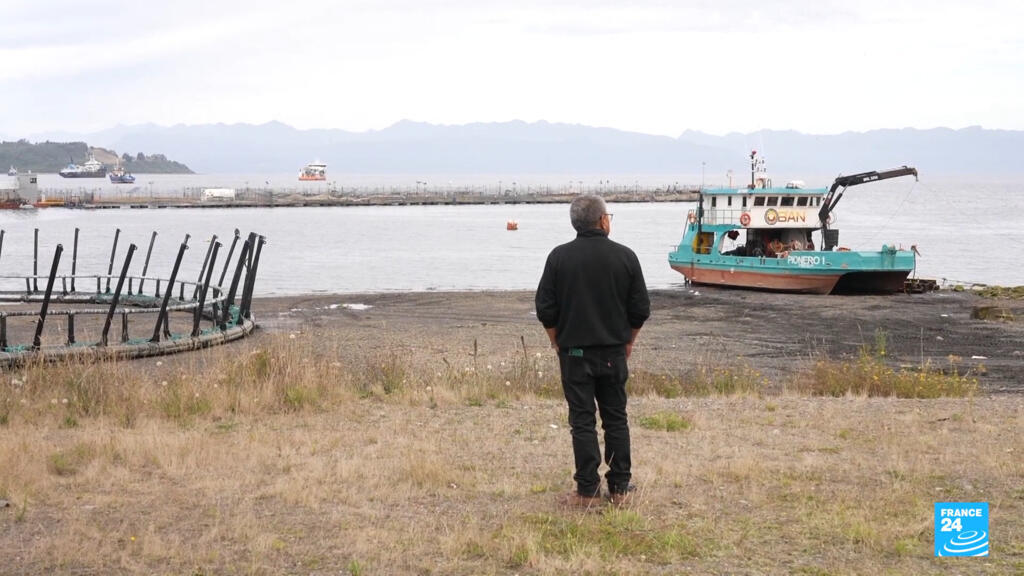 The murky waters of Chile's salmon industry