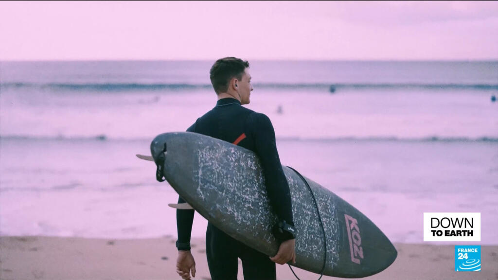 Can surfboards, handbags and coffins be made from mushrooms?
