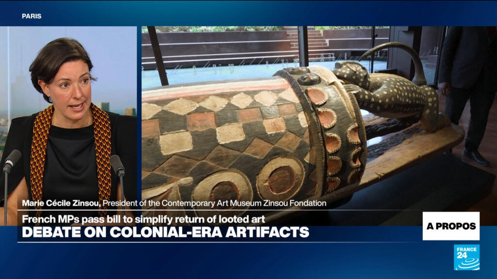 'Today the relationship between France and the African continent changes', historian says