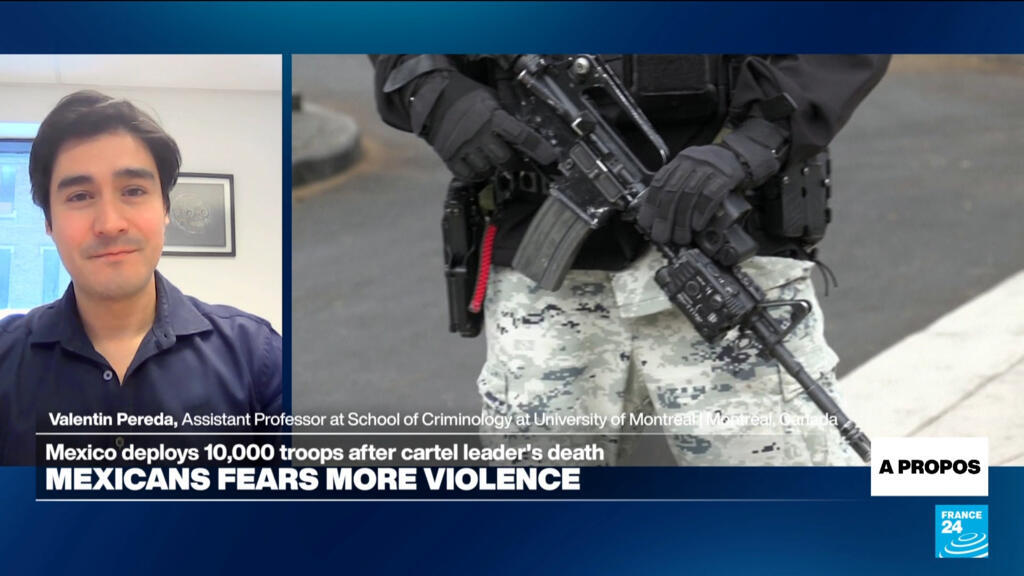 Access to US-made weapons 'a key element' of Mexican cartels' power, expert says