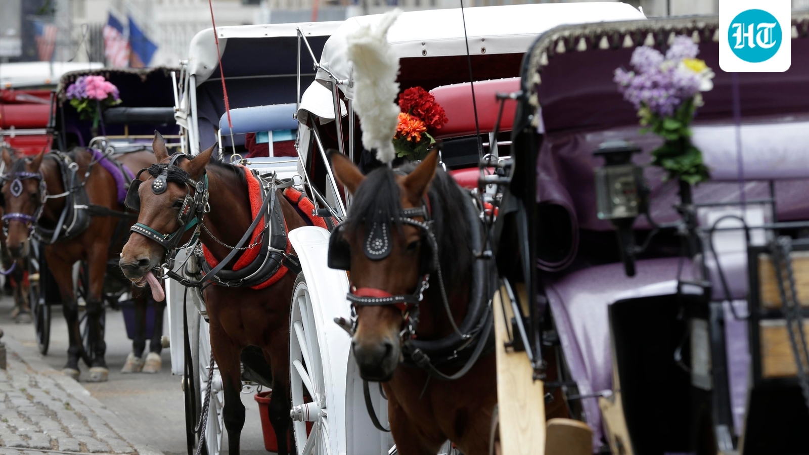 Bill to ban horse carriages in New York renamed after Indian teen's death in freak accident