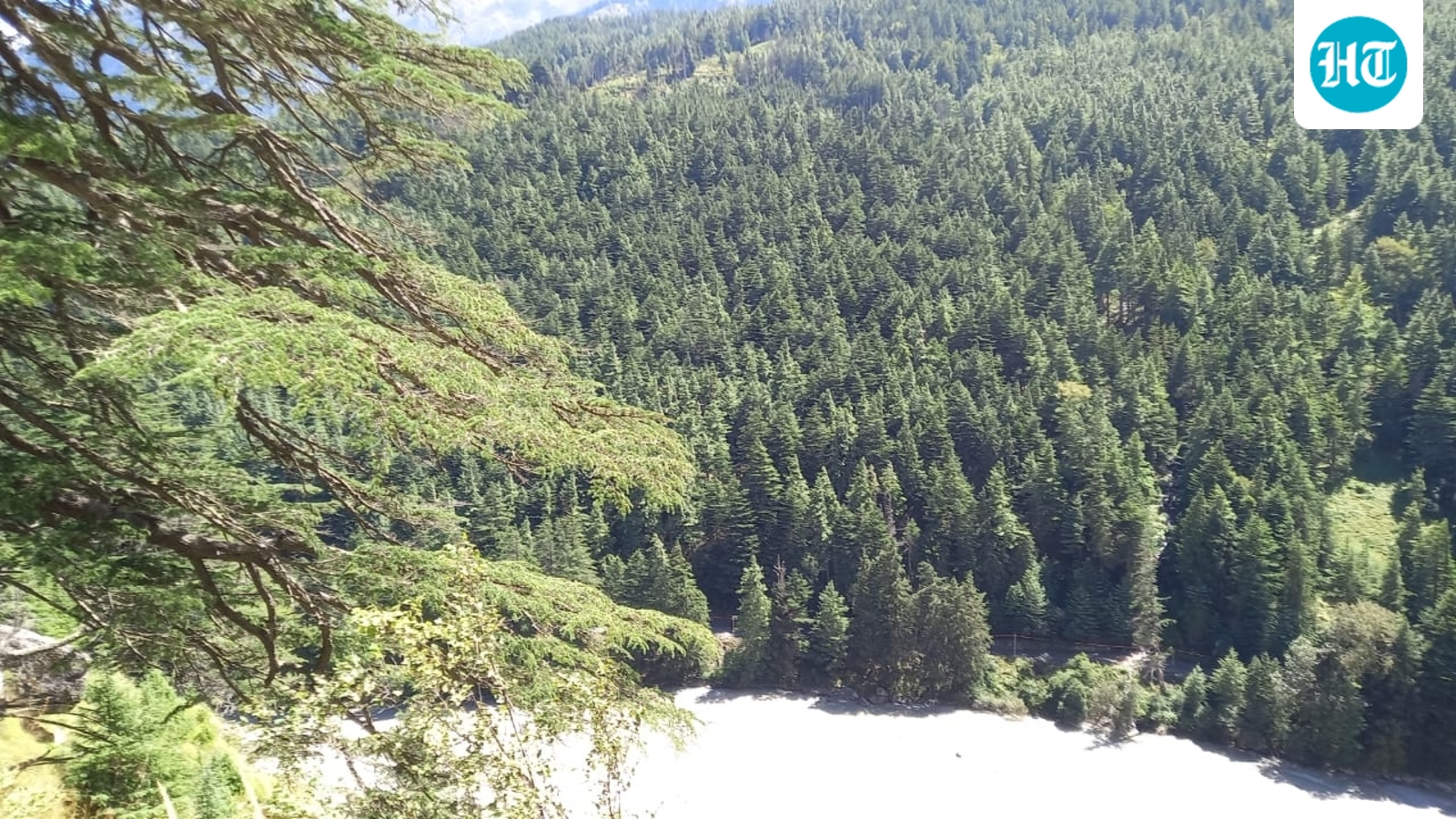 Green groups seek cancellation of forest clearance in Bhagirathi Eco-Sensitive Zone