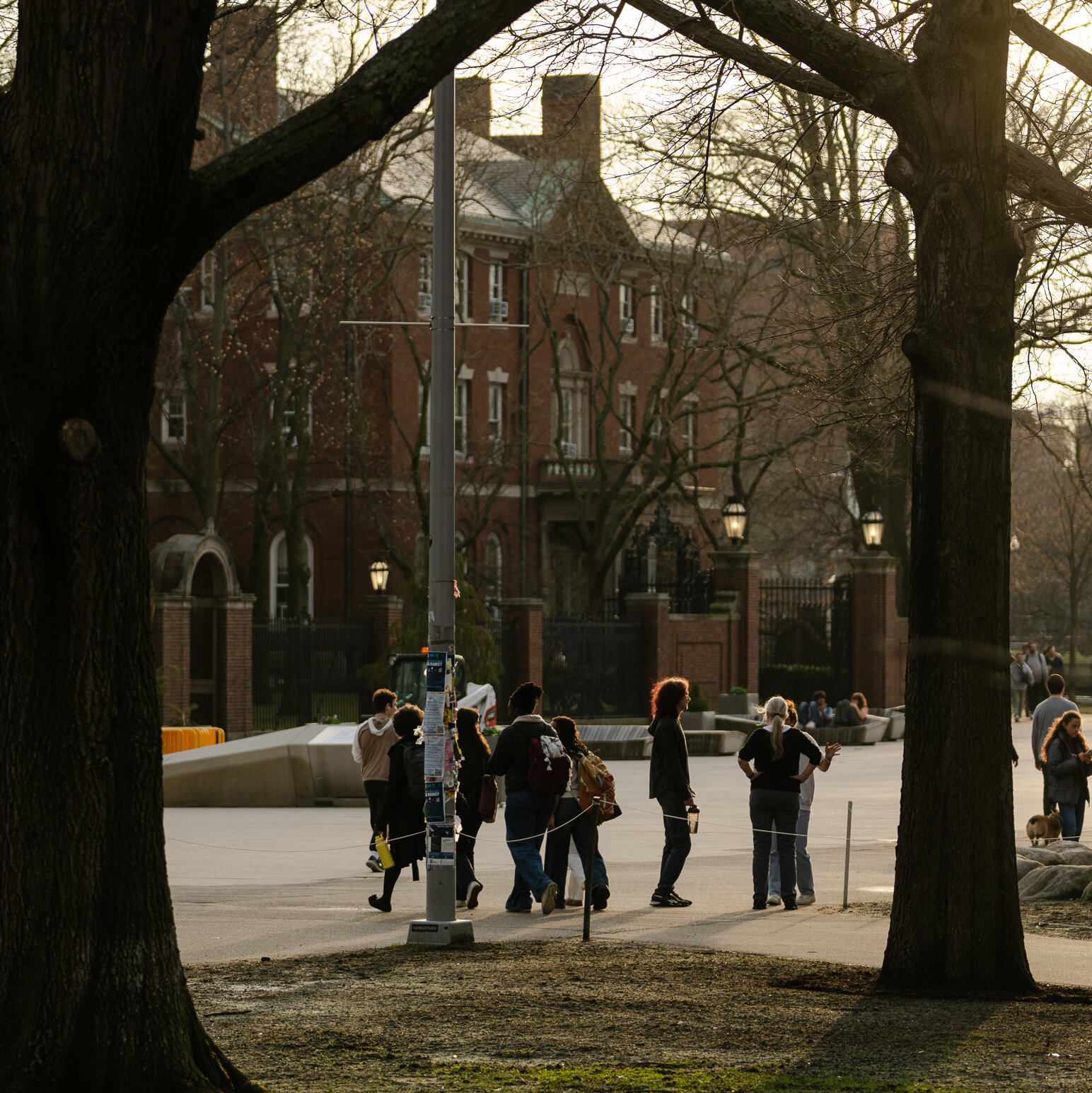 Research Funding Slows Again for Universities Targeted by White House