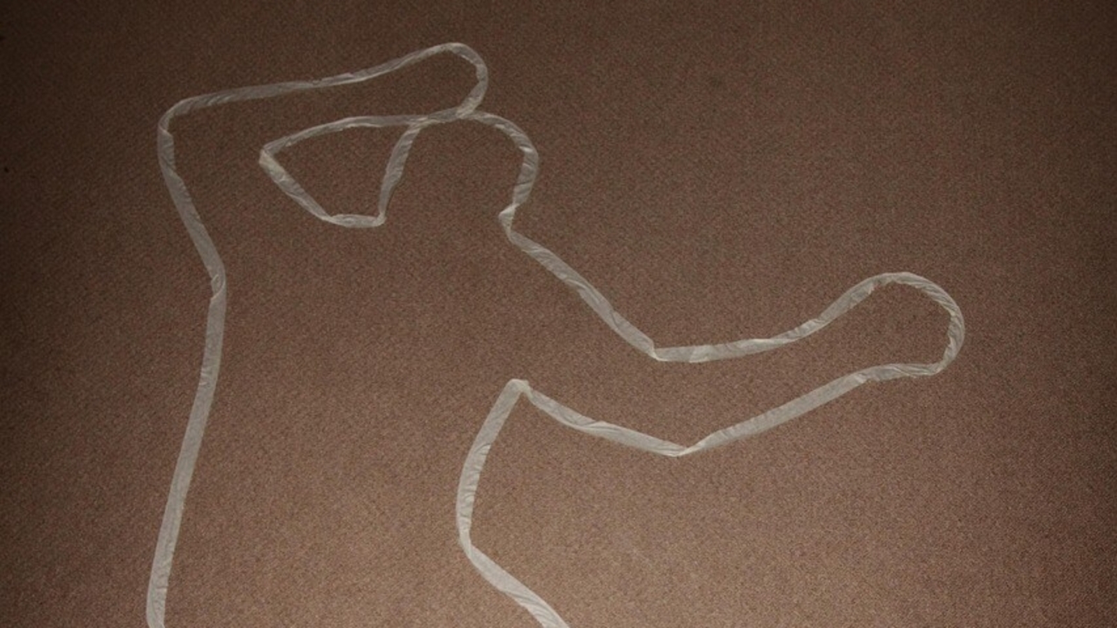 Ghee, alcohol, fire: How forensic student, crime show lover, made deadly cocktail to kill live-in partner in Delhi