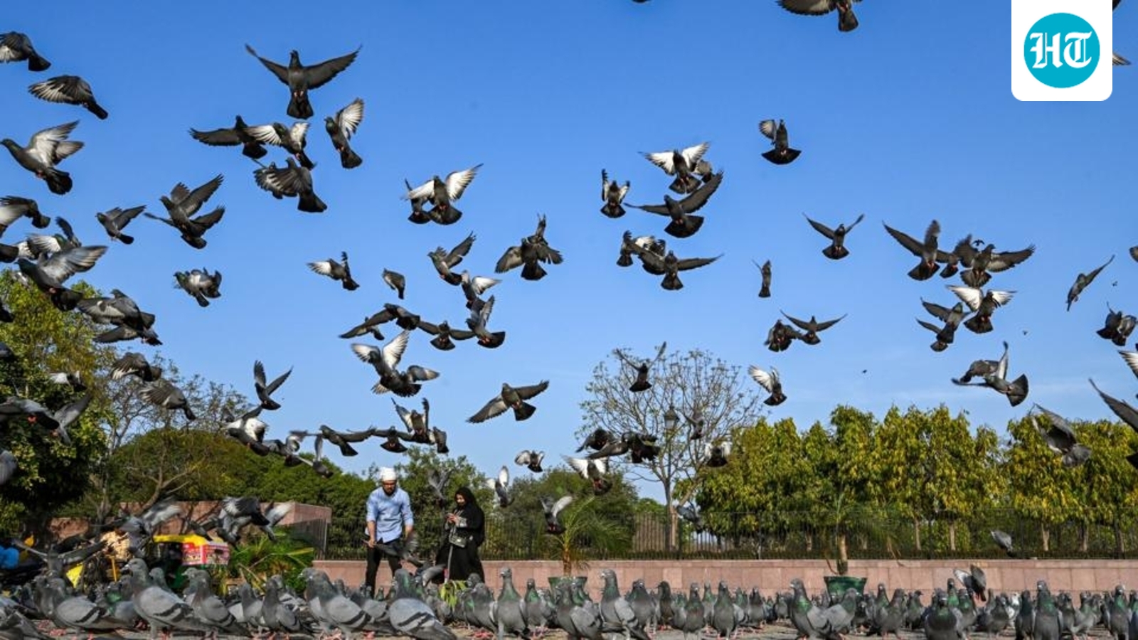 Delhi records season’s hottest day at 36.8 degrees C, relief likely next week
