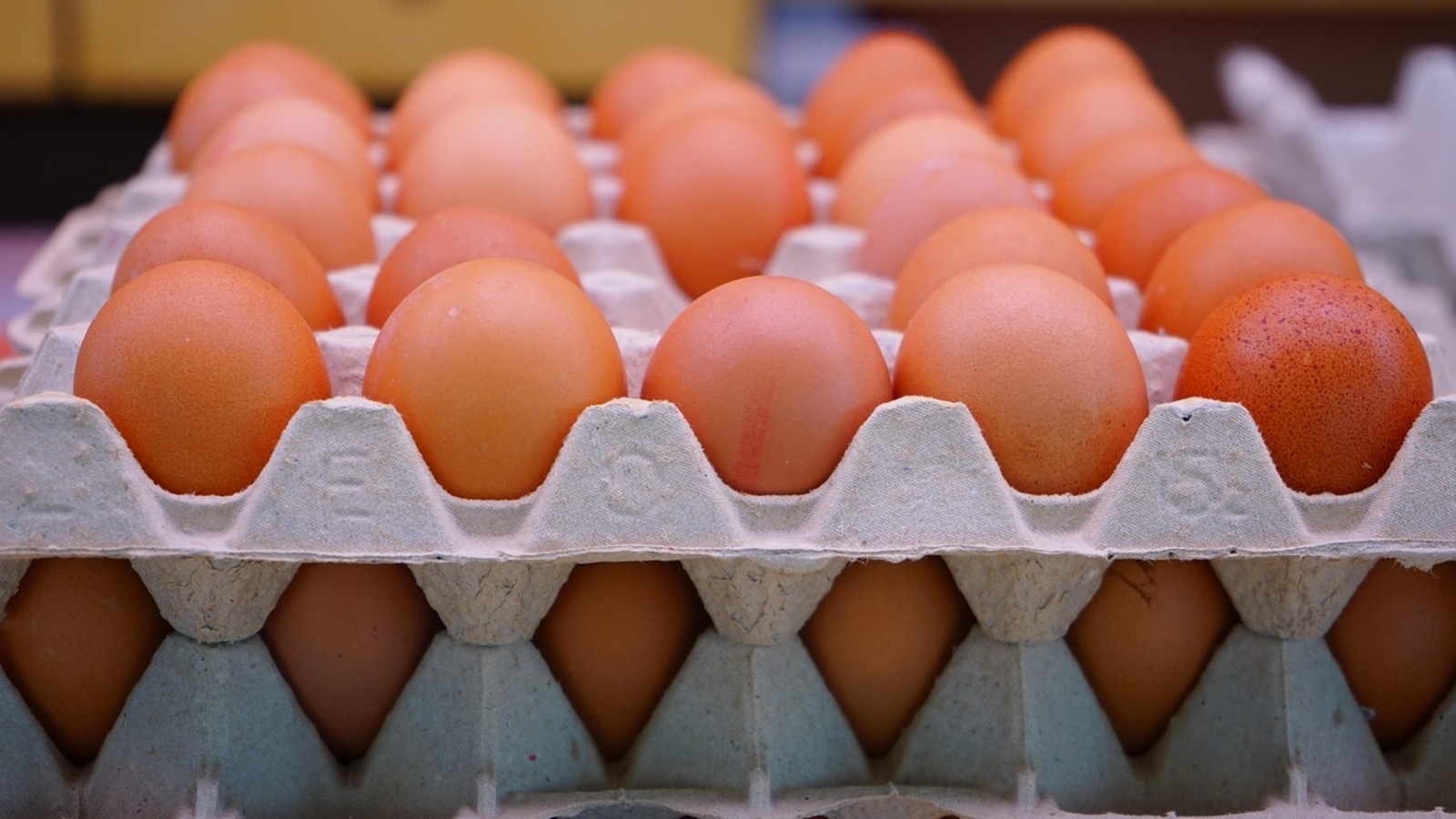USA asks Lithuania for eggs after Finland and Denmark, internet calls it ‘Door to door begging’