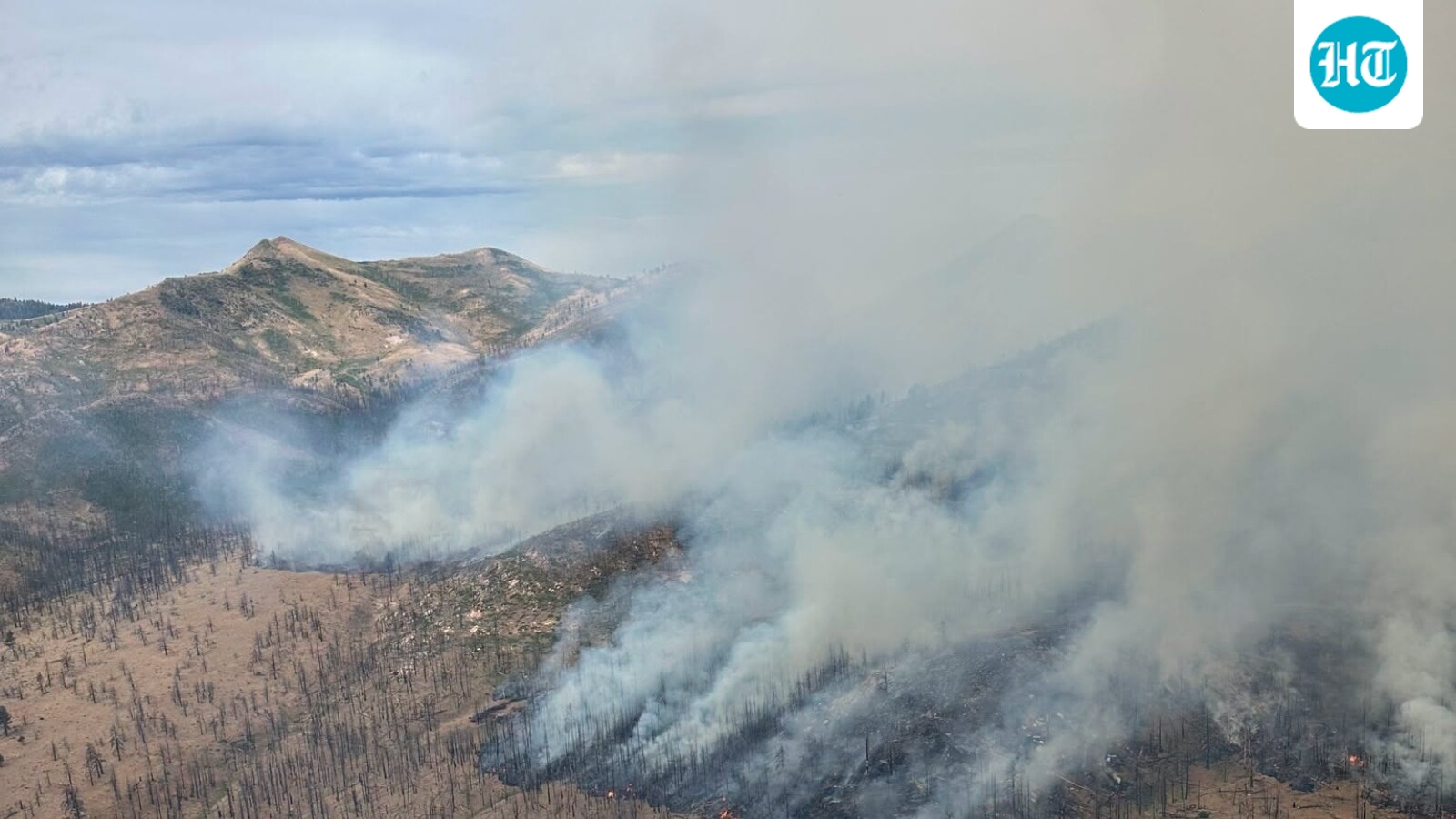 Reno, Nevada fire today? Smoke from Elephant Fire sparks fears among residents; scary videos emerge