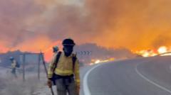 At least 12 dead and 23 missing in wildfire in southern Spain