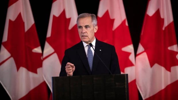Carney says diversifying trade relationships with Europe, Asia among key fall objectives