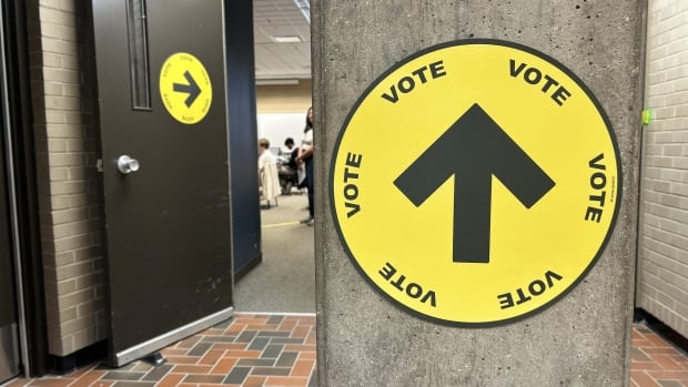 Foreign interference did not impact result of the last federal election: Elections Canada