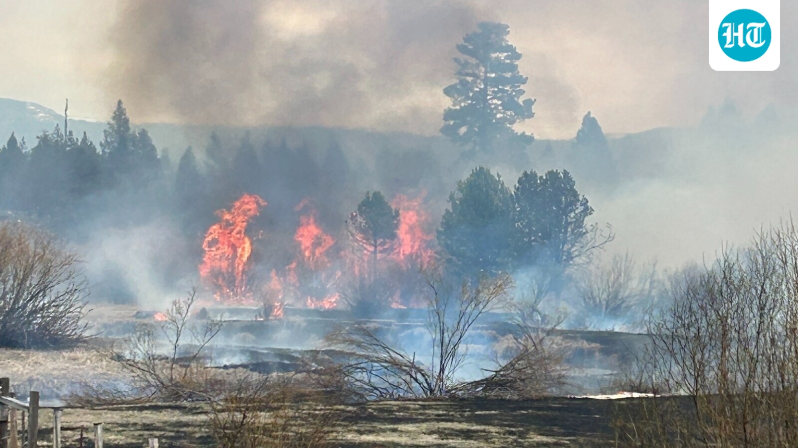 La Pine fire: Massive Oregon blaze prompts evacuation order; check full list of areas, scary pics of Riverview fire