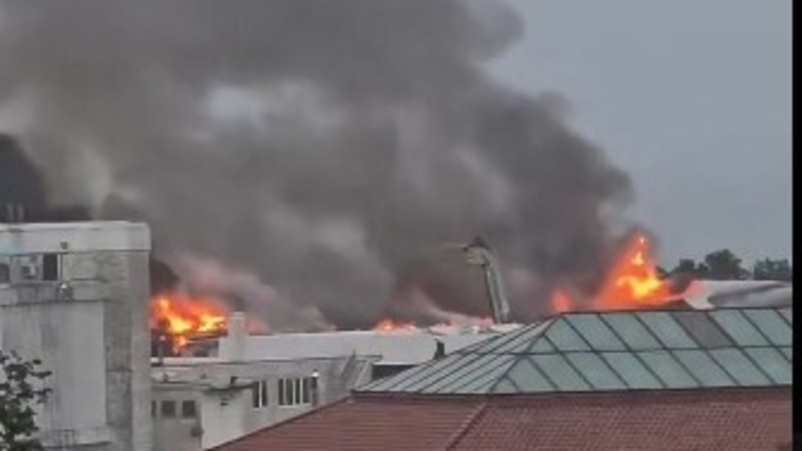 USF St. Pete Marine Science Lab fire cause: Chilling video emerges as firefighters battle blaze, ‘total devastation’