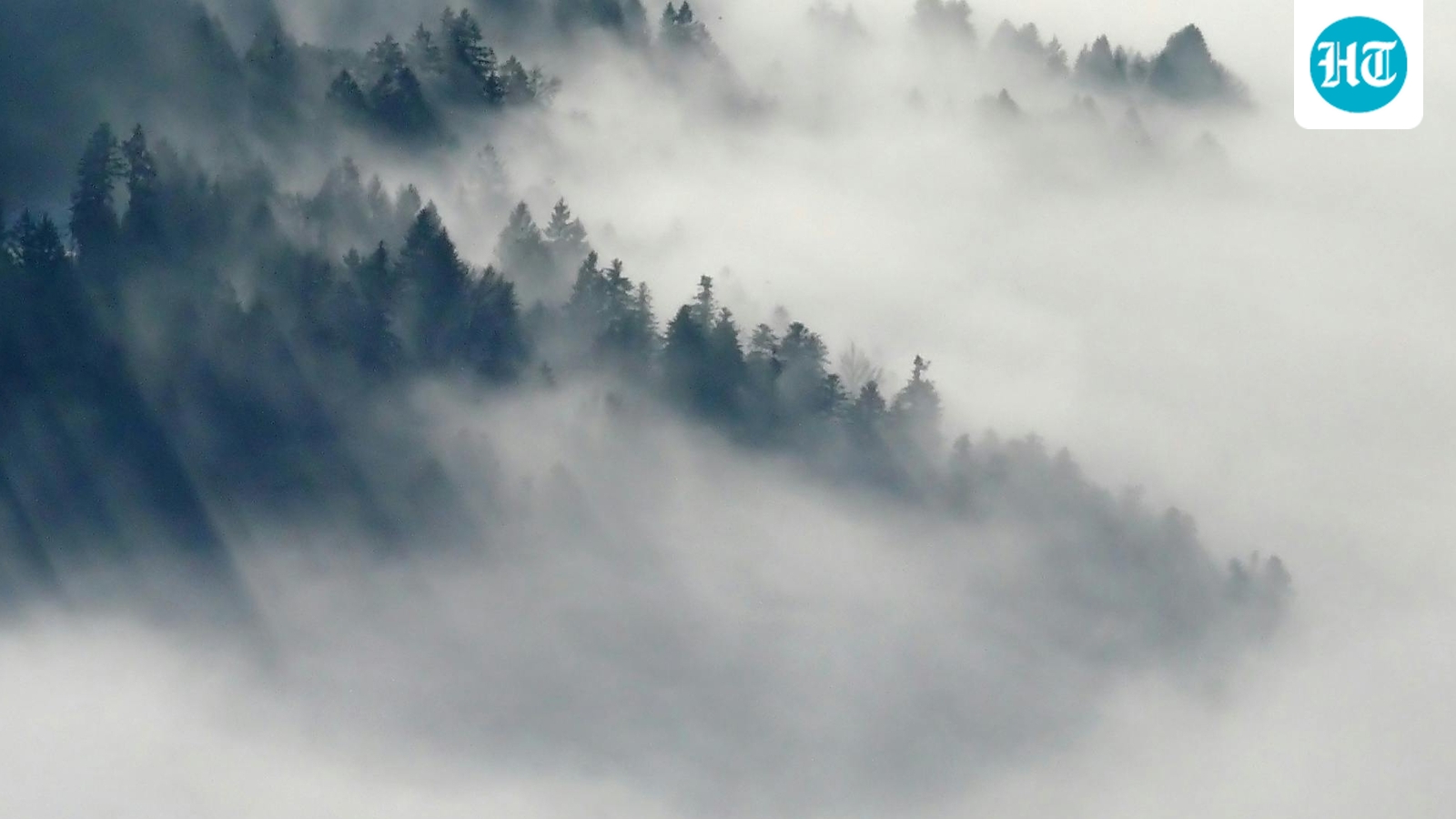 Nevada freezing fog advisories: Travelers warned of dangerous conditions; see list of areas under warning