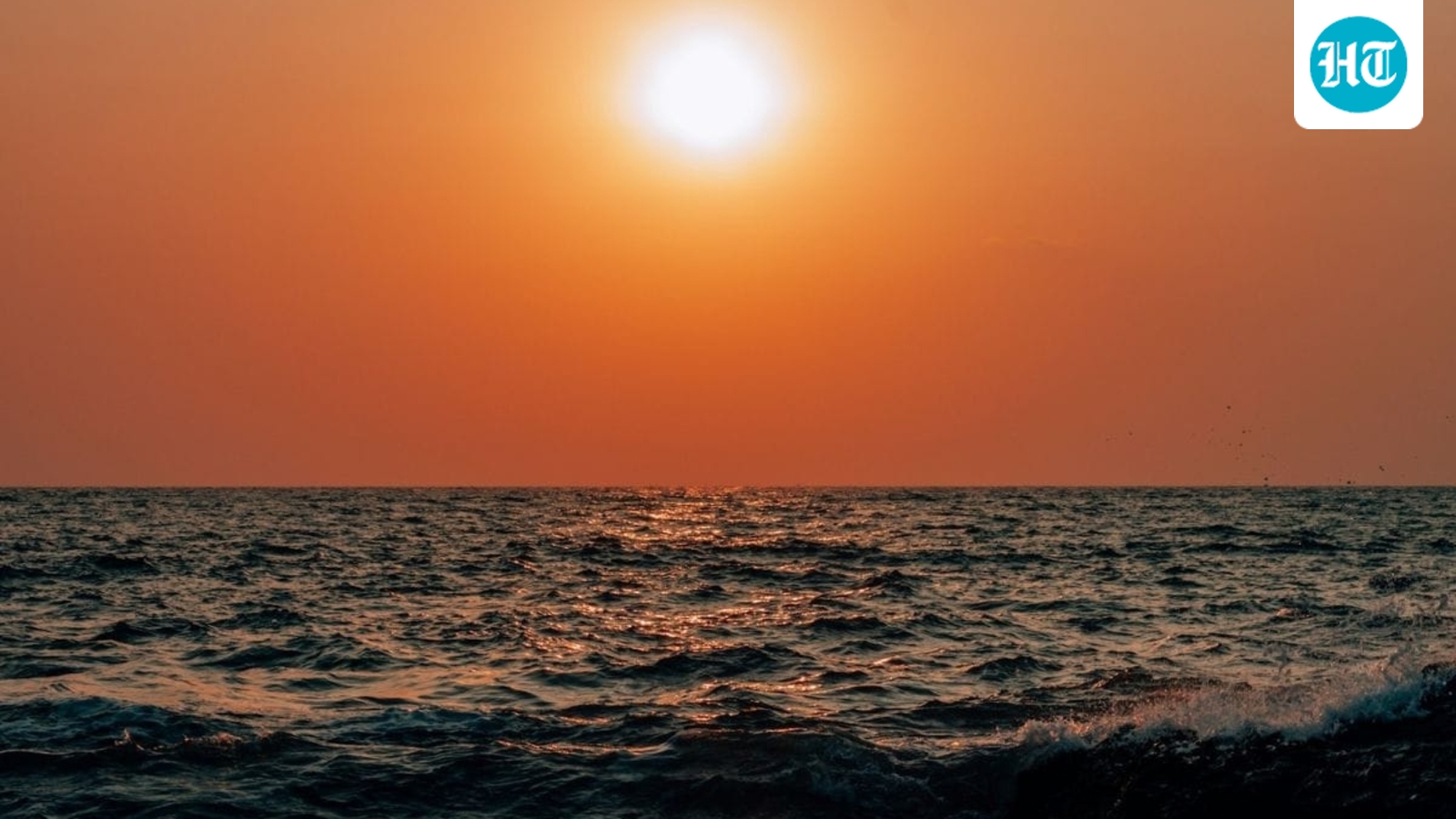 Five tourists rescued from drowning, three treated for dog bites at Goa beaches