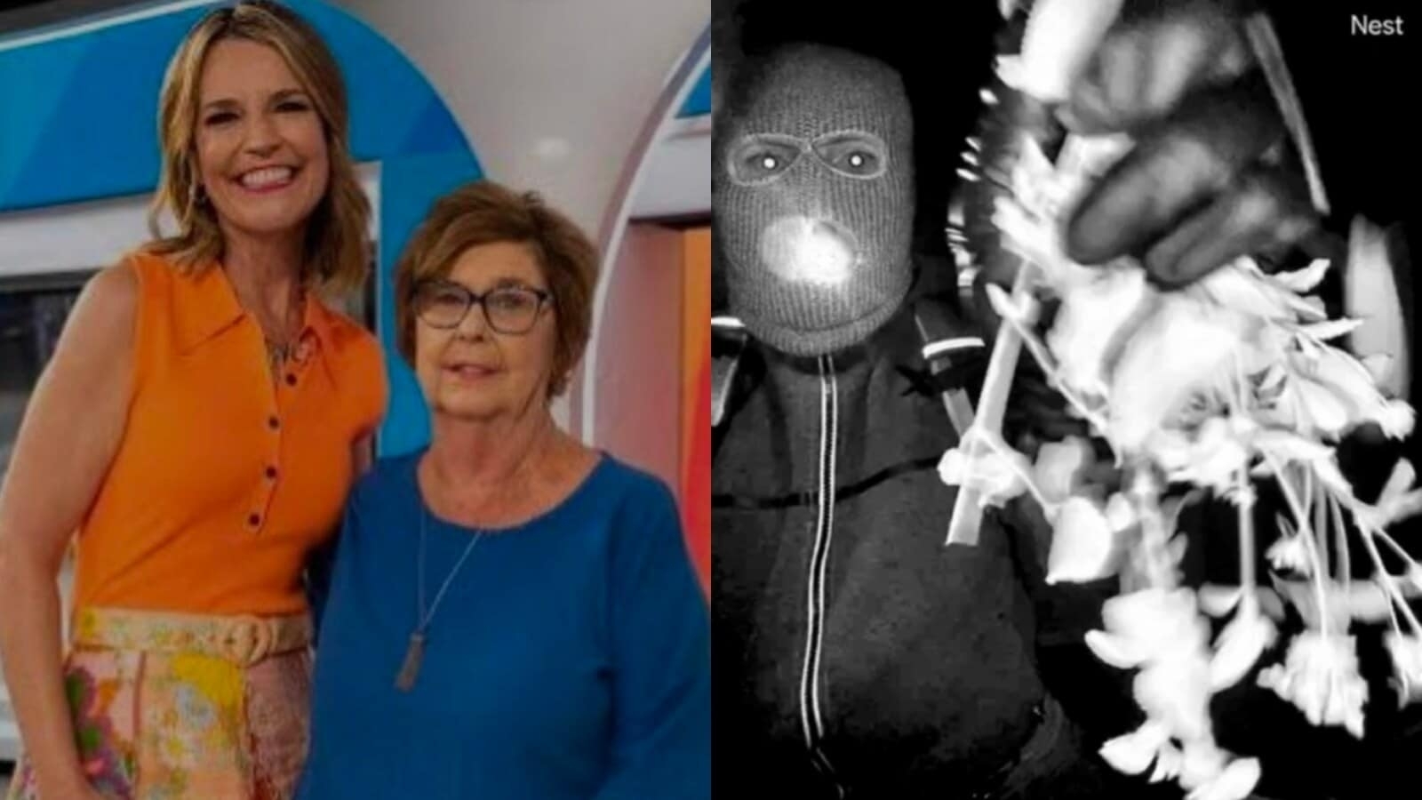Nancy Guthrie update: FBI profilers theory about who really kidnapped her may surprise you