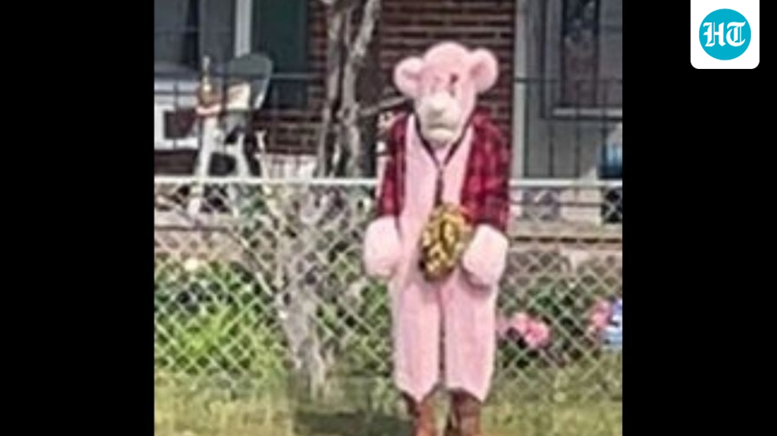 ‘What is he going to do…?’: Creepy figure in bizarre pink costume ‘chasing’ kids sparks panic in Virginia