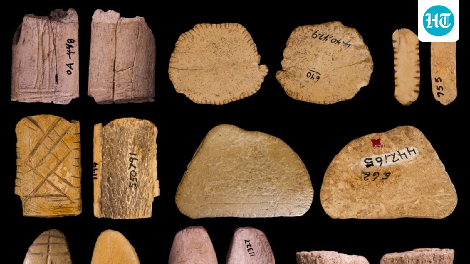 Humans Have Been Playing With Dice for Longer Than We Thought