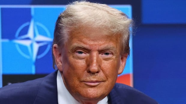 Trump's 'revenge tax' on other countries could hit U.S.