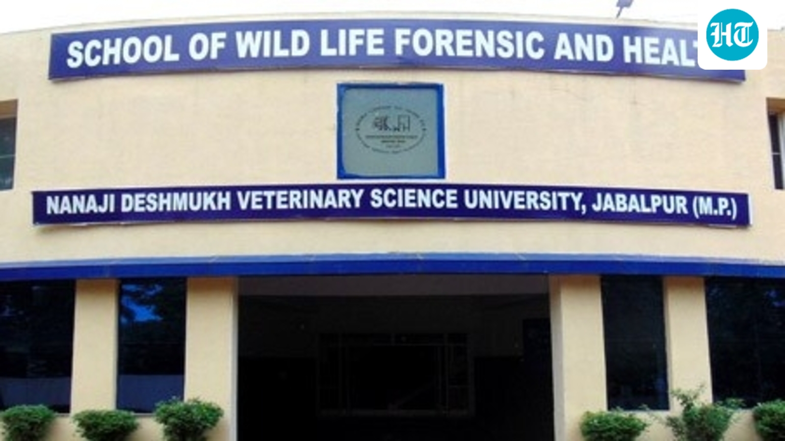 'Cow dung for cancer cure' research project at MP medical university runs into scam charge over fund spend
