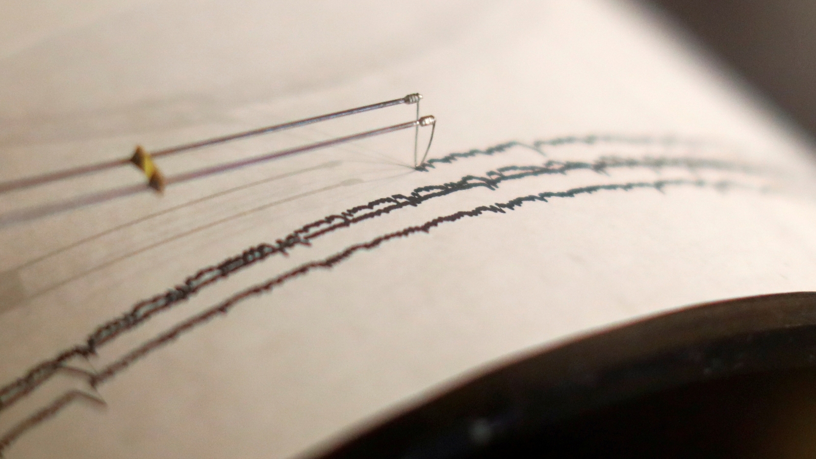 Earthquake of 3.6 magnitude hits Jammu and Kashmir
