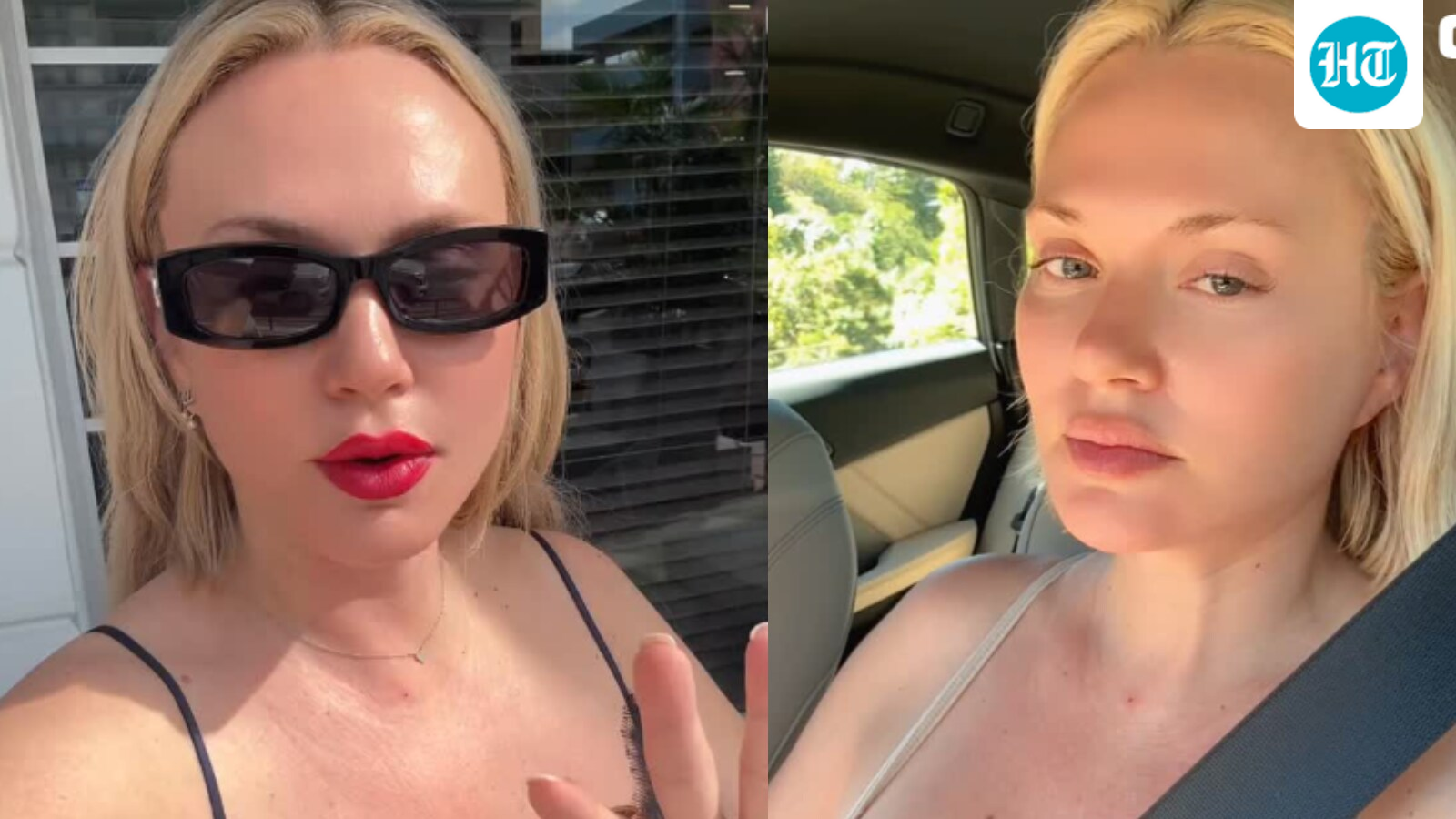 Hilde Lynn Helphenstein cause of death update: Who is Jerry Gogosian creator found dead at Sao Paulo hotel?
