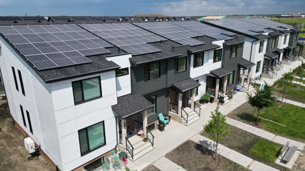 These homes generate power for the grid — and residents don't worry about blackouts