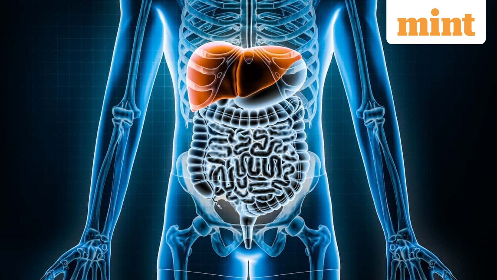 World Liver Day 2026: Check theme, significance, and 4 habits for a healthy liver