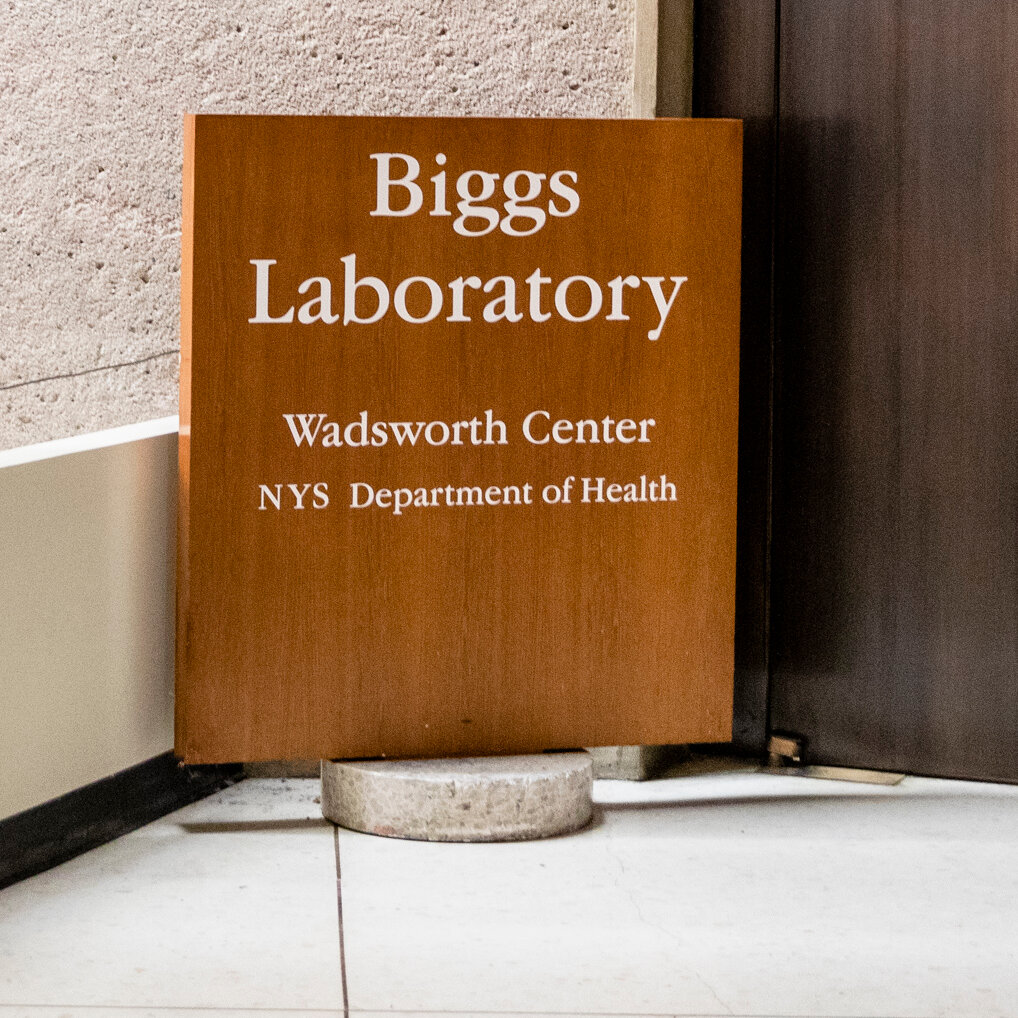 Mosquito-Borne Illness Rarely Seen in U.S. Is Suspected on Long Island