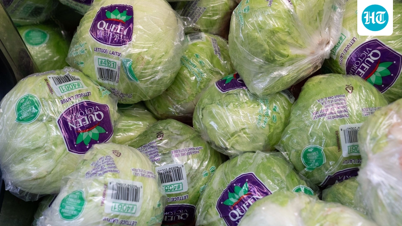 As cyclospora illnesses surge to record cases, Michigan officials eye lettuce as possible cause