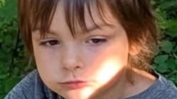 Nearly 100 searchers scouring forested Alberta area for missing 5-year-old