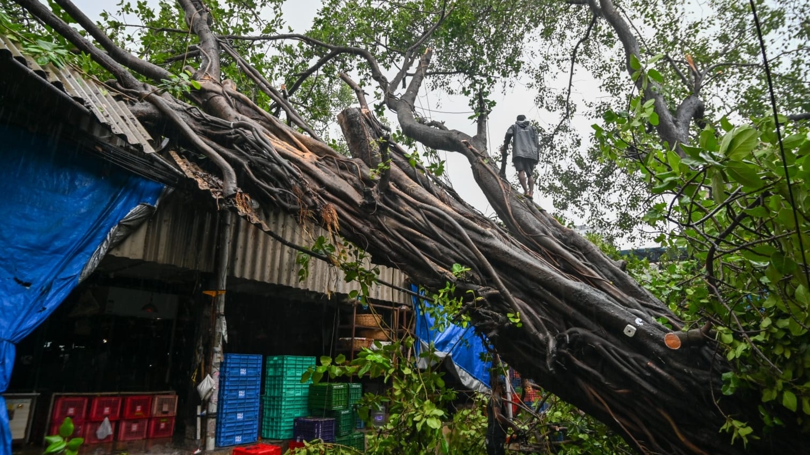 Mumbai rain LIVE: Red alert in Mumbai, local trains delayed, waterlogging hits roads
